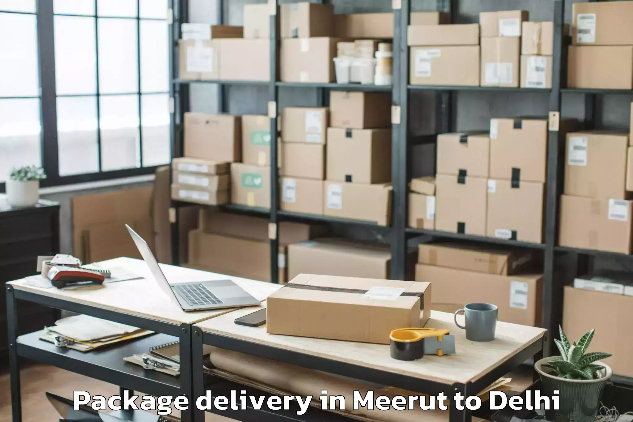 Hassle-Free Meerut to Chanakya Puri Package Delivery